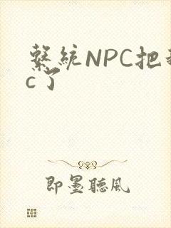 系统NPC把我c了