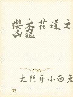 樱木花道之重生凶猛