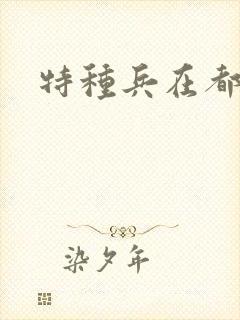 特种兵在都市