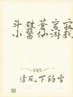 斗破苍穹寂寞的小医仙游戏世界