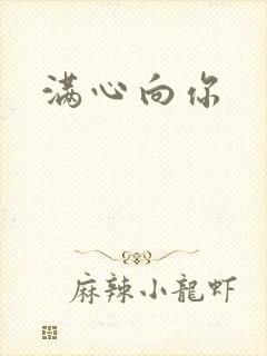 《满心向你》小说封面