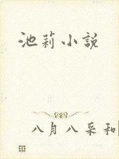 池莉小说