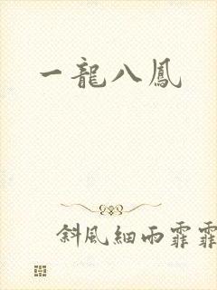 一龙八凤