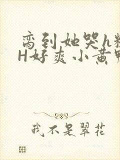 脔到她哭h粗话H好爽小黄鸭视频