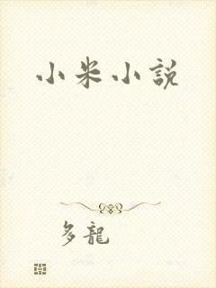 小米小说
