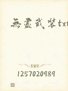 无尽武装txt
