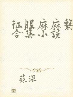 征服麻麻系列大合集小说