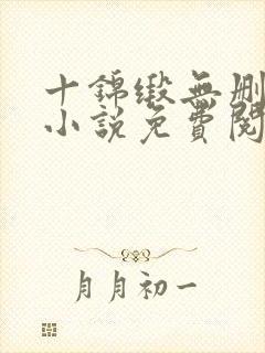 十锦缎无删原著小说免费阅读