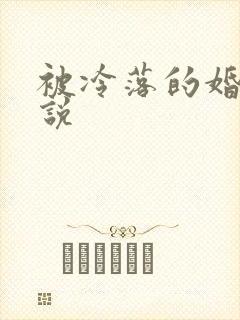 被冷落的婚姻小说