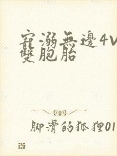 宠溺无边4V2双胞胎