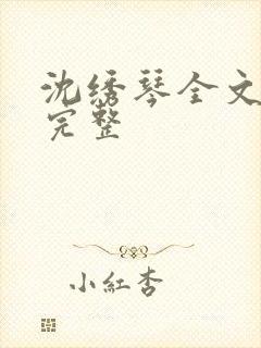 沈绣琴全文阅读完整