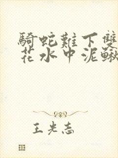 骑蛇难下双金银花水中泥鳅双男主