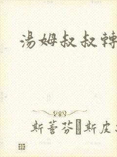 汤姆叔叔转接口