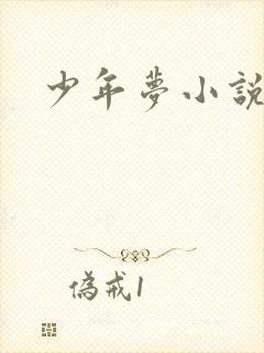 少年梦小说
