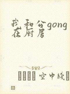 我和公gong在厨房