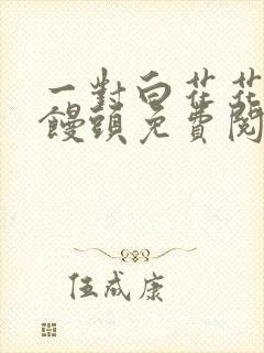 一对白花花的大馒头免费阅读