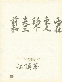 《前夫的东西很大和三个人在一起》小说封面