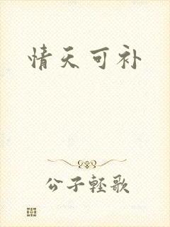 情天可补