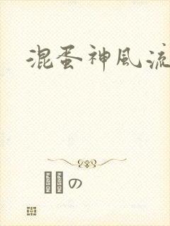 混蛋神风流记封面