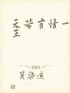 《天若有情一家之主》小说封面