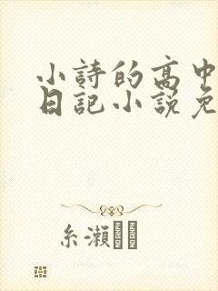 小诗的高中成长日记小说免费阅读
