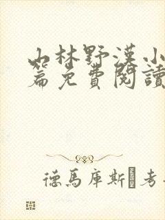 山林野汉小说全篇免费阅读