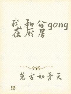 我和公gong在厨房