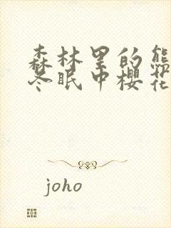 森林里的熊先生冬眠中樱花动漫