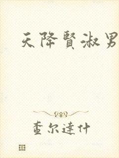天降贤淑男小说