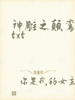 神雕之颠鸾倒凤txt