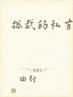 《总裁的私有宝贝》小说封面