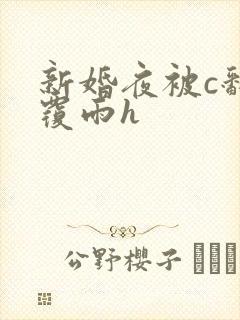 新婚夜被c翻云覆雨h