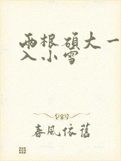 两根硕大一起挤入小雪