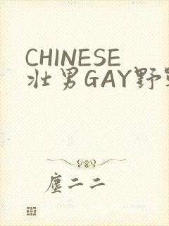 CHINESE壮男GAY野战强迫TUBE