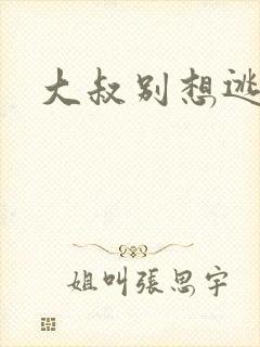 大叔别想逃