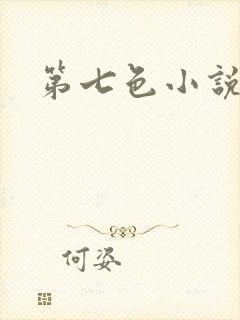 第七色小说封面