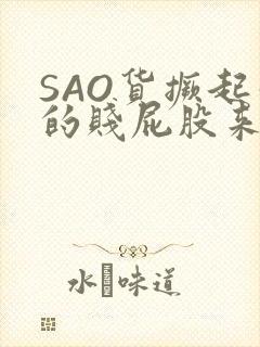 SAO货撅起你的贱屁股来