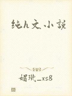 纯h文小说