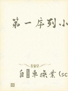 第一序列小说