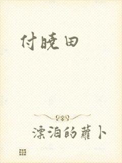 付晓田