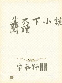 落不下小说免费阅读封面