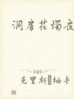 洞房花烛夜小说