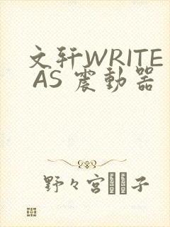 《文轩WRITE AS 震动器》小说封面