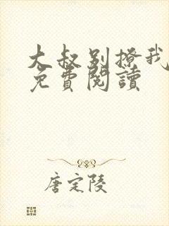 大叔别撩我小说免费阅读封面