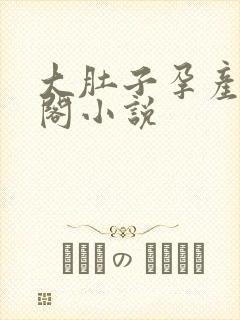 大肚子孕产笔趣阁小说