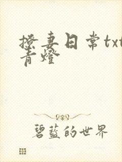 撩妻日常txt青灯