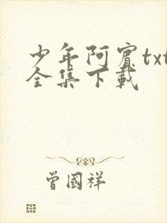 少年阿宾txt全集下载