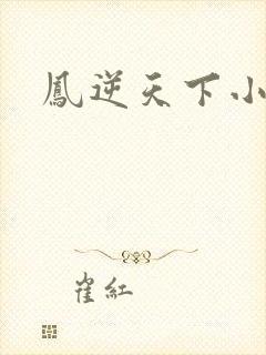 凤逆天下小说封面