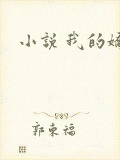 小说 我的娇妻
