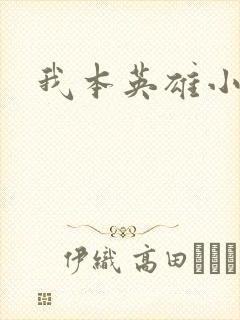 我本英雄小说